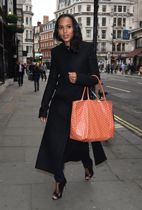 celebrities using goyard bags